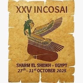 مصر تطرح رؤية جديدة لاستخدام الذكاء الاصطناعي في أعمال المراجعة خلال  مؤتمر “الإنكوساي 25” بشرم الشيخ