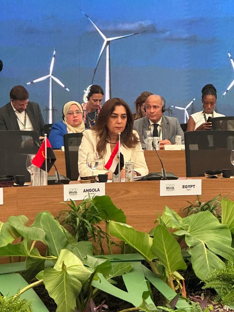 قمة المناخ COP30 بالبرازيل .. “منال عوض “: الدولة المصرية تتوسع في الطاقة المتجددة للوصول إلى 42% من الكهرباء النظيفة بحلول 2030