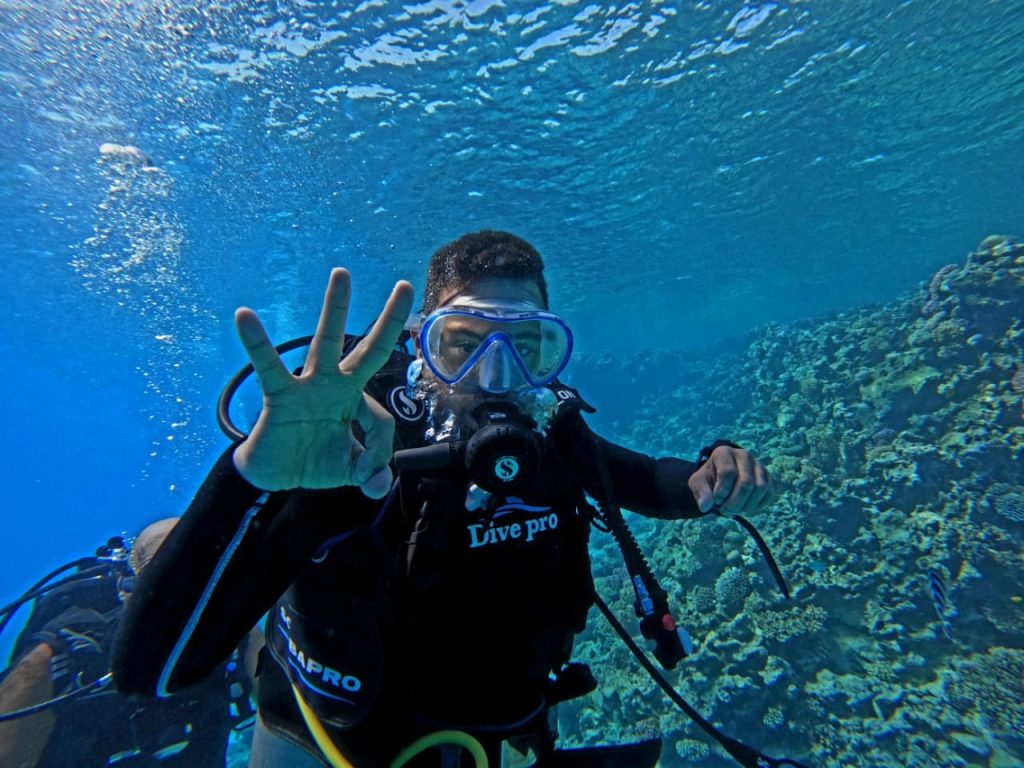 مصر .. وزارة البيئة تطلق أول حملة توعوية بجزيرة الجفتون لدمج ذوي الهمم في العمل البيئي