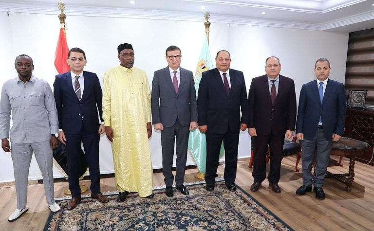 مصر وتشاد يبحثان تعزيز الاستثمار المشترك في الثروة الحيوانية