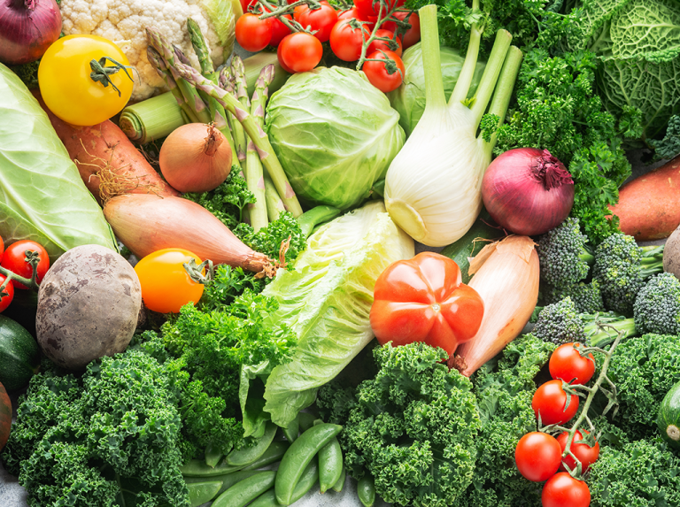 “بلومبرج جرين” الأمريكية تبحث إنشاء مركز إقليمي للأمن الغذائي وتوطين تكنولوجيا الحفظ الزراعي بمصر