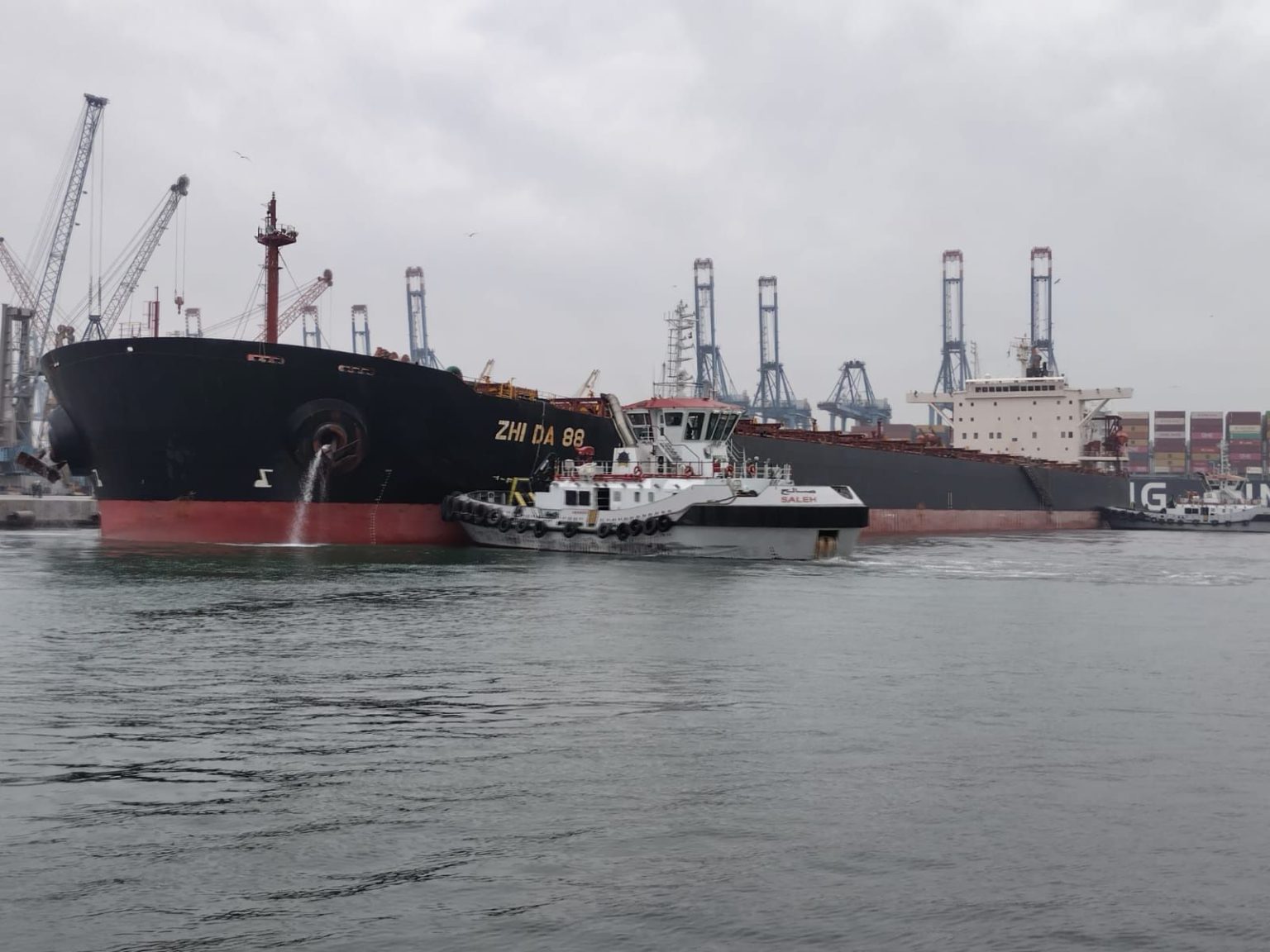 ميناء دمياط يستقبل أكبر حمولة بضائع عامة في تاريخه.. سفينة الصب الجاف ZHI DA 88 ترسو على أرصفة الميناء قادمة من الصين