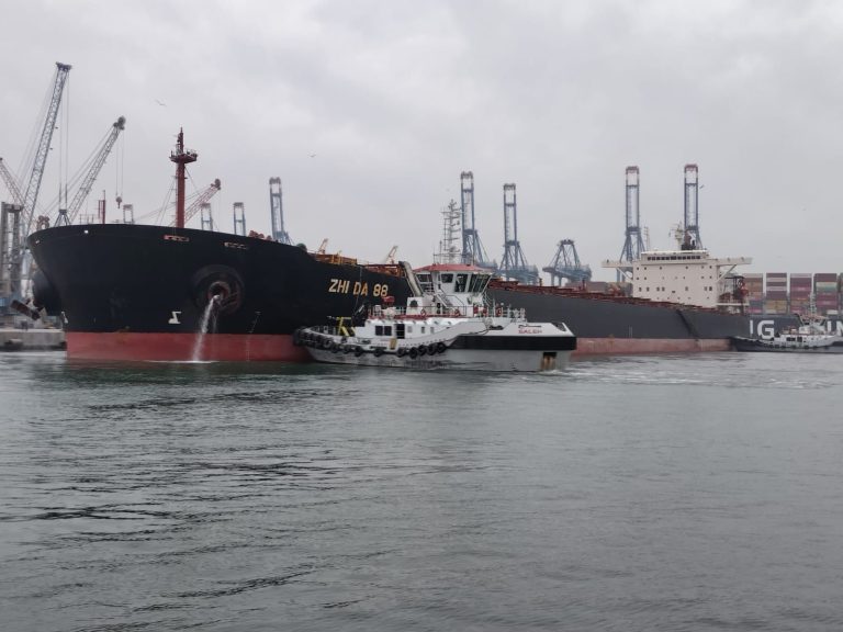 ميناء دمياط يستقبل أكبر حمولة بضائع عامة في تاريخه.. سفينة الصب الجاف ZHI DA 88 ترسو على أرصفة الميناء قادمة من الصين