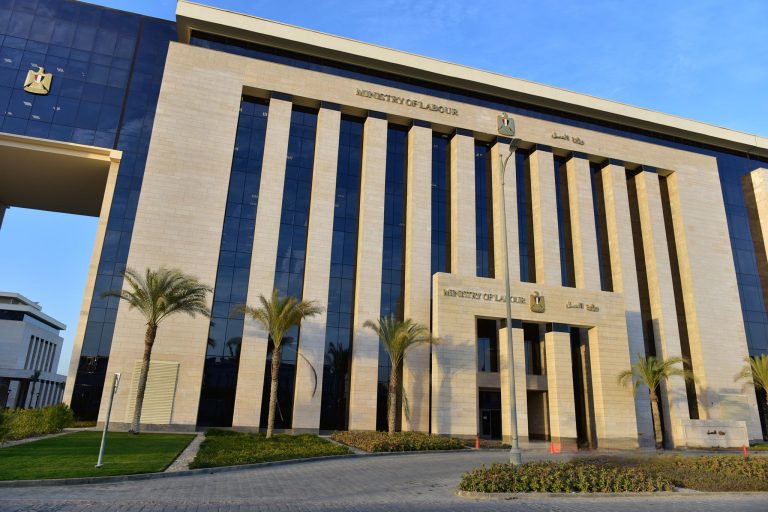 ” وزارة العمل” تفتش على 2476 منشأة لتوفيق الأوضاع الخاصة بالأجور وعقود العمل