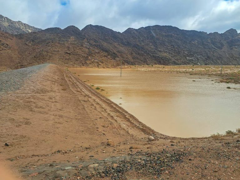 “حصاد السيول”.. كيف حولت مصر مياه الأمطار في المحافظات الحدودية إلى ثروة بتجميعها والاستفادة منها في زراعة آلاف الأفدنة