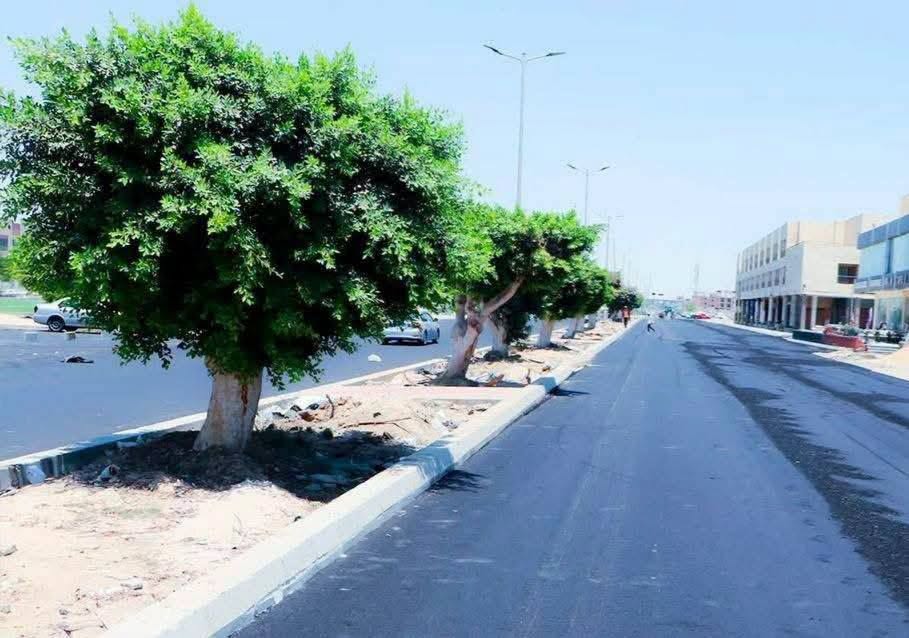 وزيرة الإسكان تتابع موقف مشروعات التطوير والبنية الأساسية والمرافق بمدينة السادات